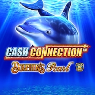 cash connection dolphin